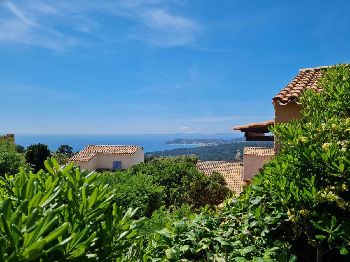 Bel Appartement Renove, Avec Terrasse Et Piscine La Croix-Valmer Exterior foto