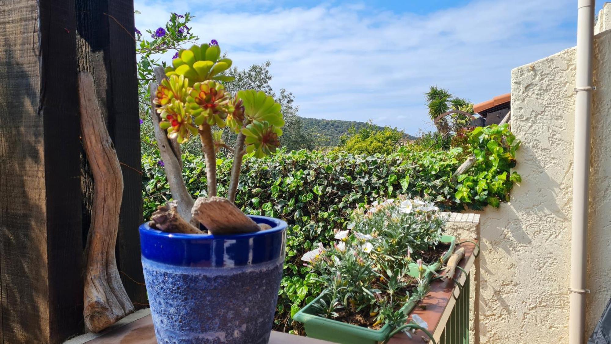 Bel Appartement Renove, Avec Terrasse Et Piscine La Croix-Valmer Exterior foto